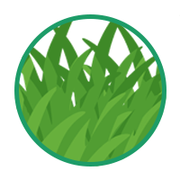 gazon synthetique BOGreen